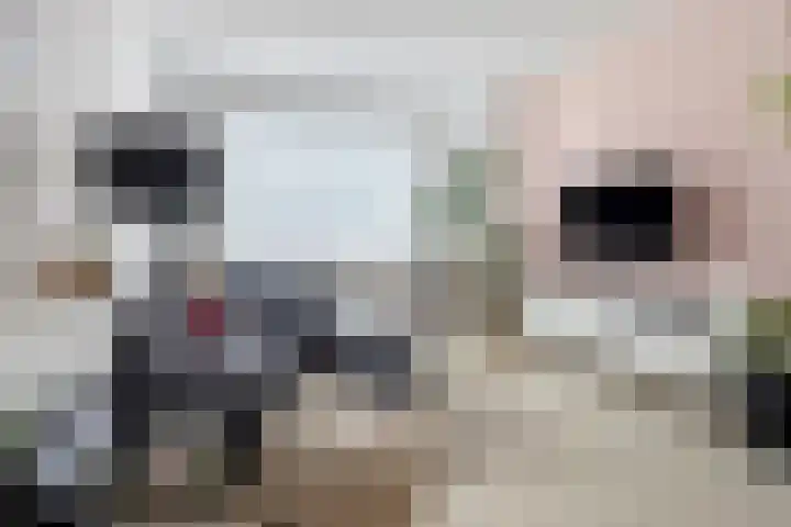 Donizettilaan 26 Apeldoorn thumbnail 4