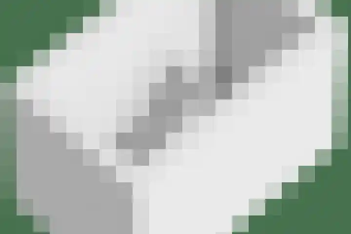 Donizettilaan 26 Apeldoorn thumbnail 45
