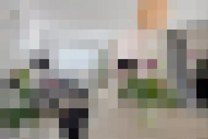 Donizettilaan 26 Apeldoorn thumbnail 7