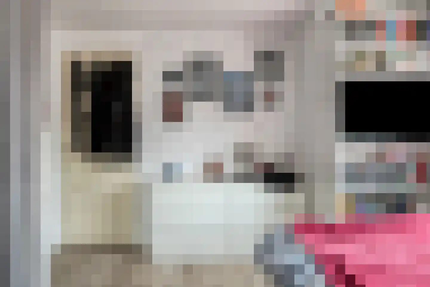Donizettilaan 6 Apeldoorn thumbnail 11