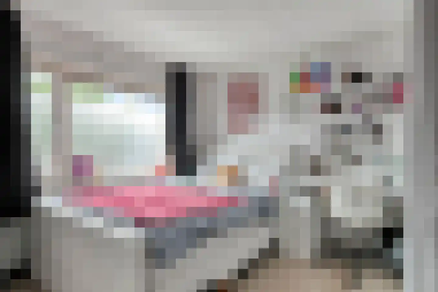 Donizettilaan 6 Apeldoorn thumbnail 13