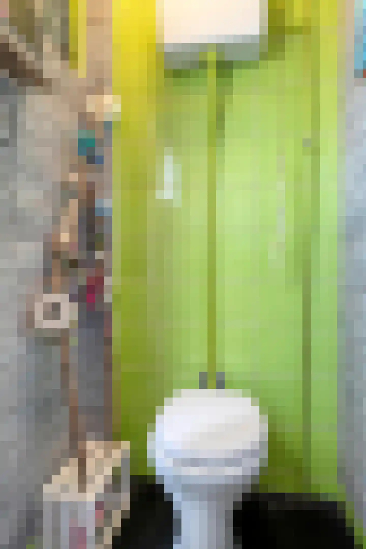 Donizettilaan 6 Apeldoorn thumbnail 26