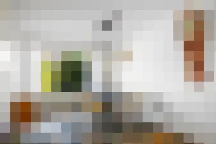 Donizettiplaats 10 Twello thumbnail 10