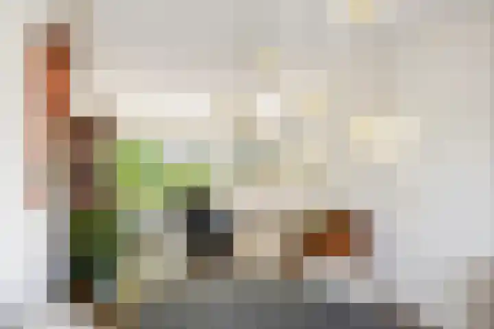 Donizettiplaats 10 Twello thumbnail 12
