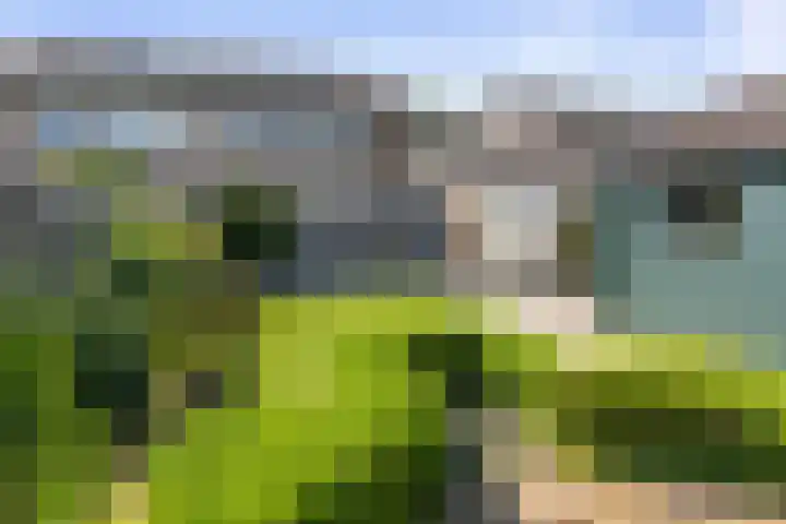 Donizettiplaats 10 Twello thumbnail 27