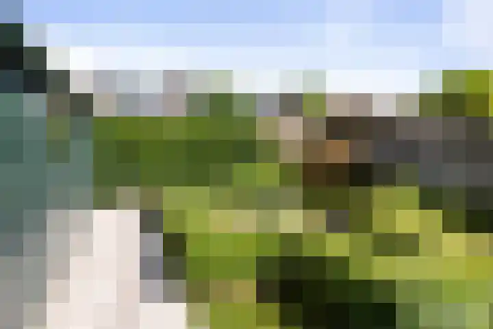 Donizettiplaats 10 Twello thumbnail 31
