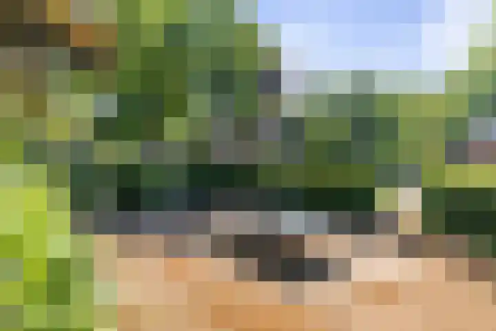 Donizettiplaats 10 Twello thumbnail 32