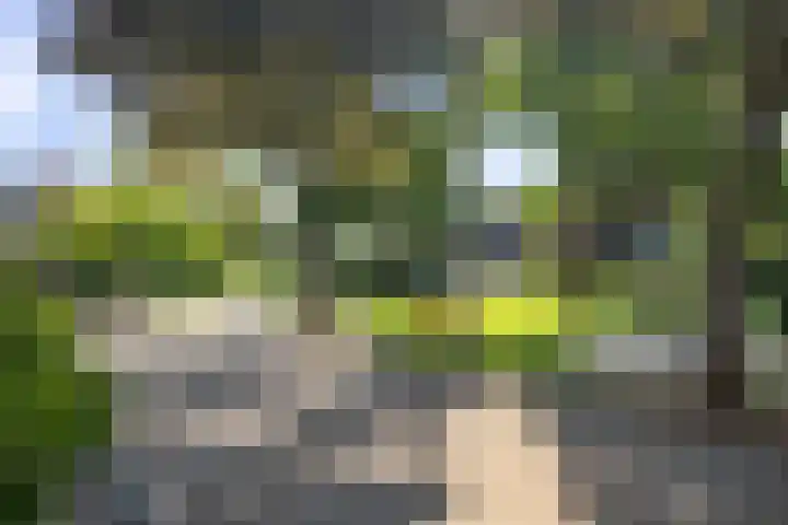 Donizettiplaats 10 Twello thumbnail 33