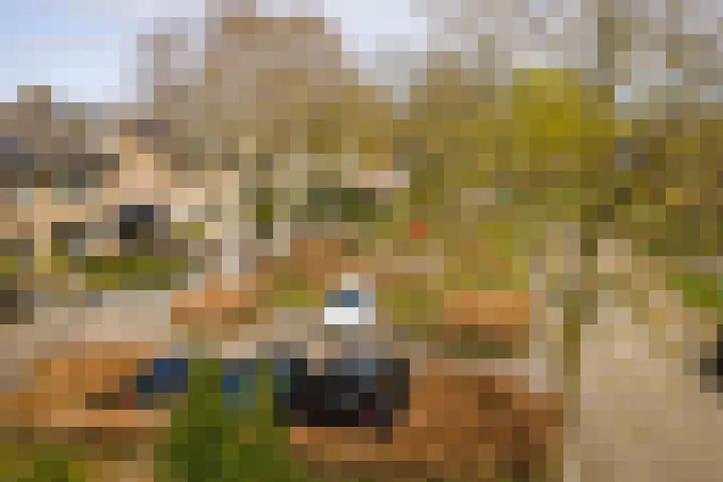 Donizettiplaats 20 Twello thumbnail 44