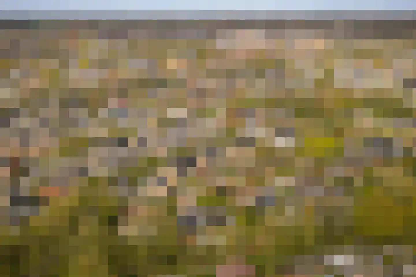 Donizettiplaats 20 Twello thumbnail 46