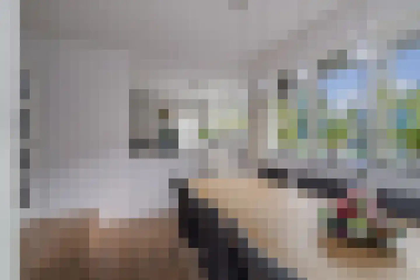 Donizettiplaats 22 Twello thumbnail 20