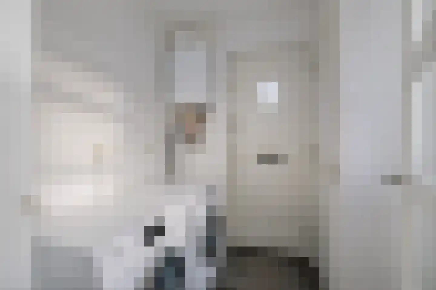 Donizettiplaats 22 Twello thumbnail 22