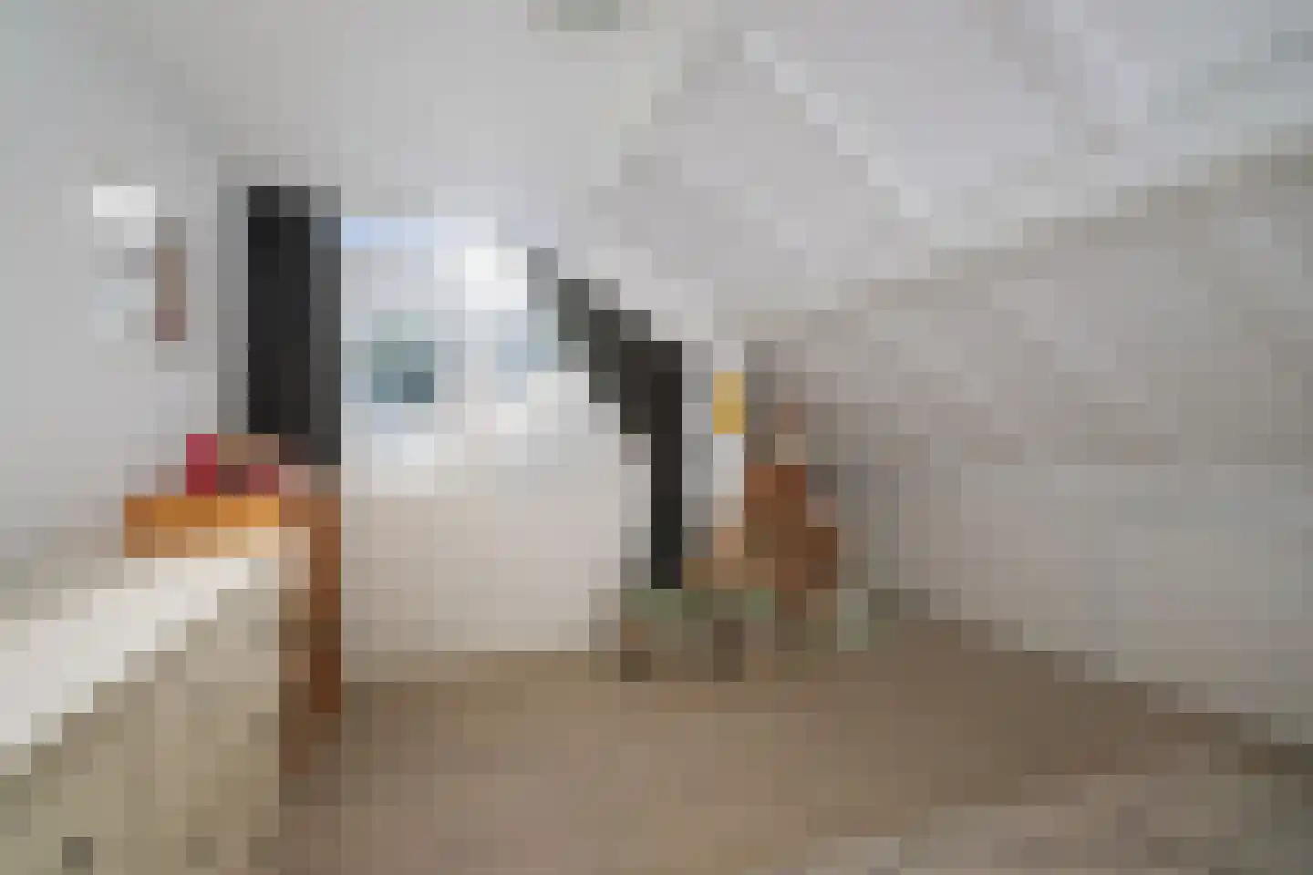 Donizettiplaats 22 Twello thumbnail 24