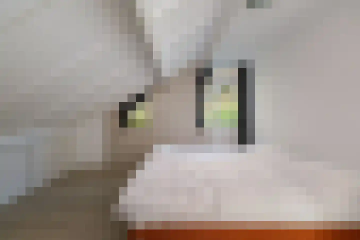 Donizettiplaats 22 Twello thumbnail 27