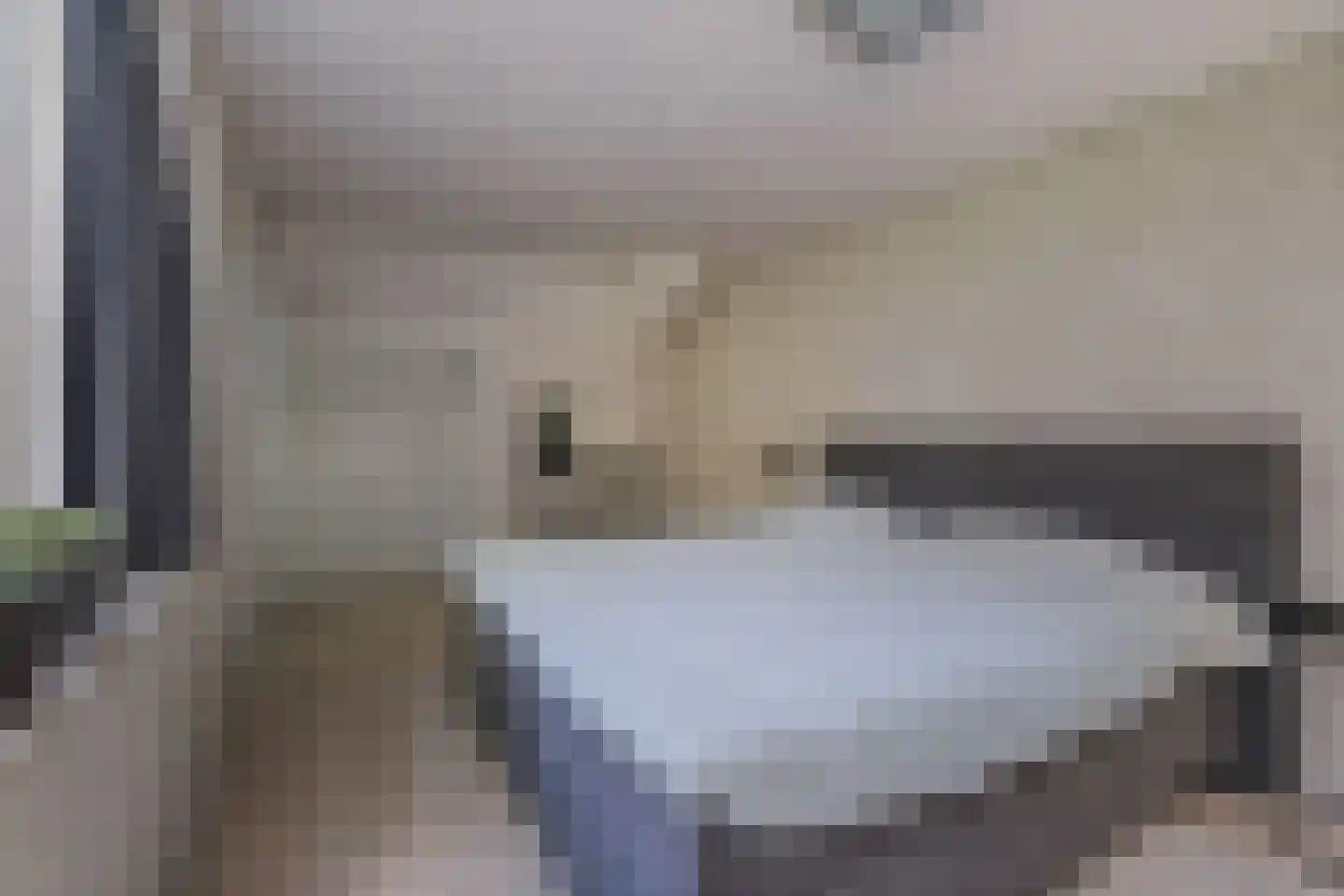 Donizettiplaats 22 Twello thumbnail 28