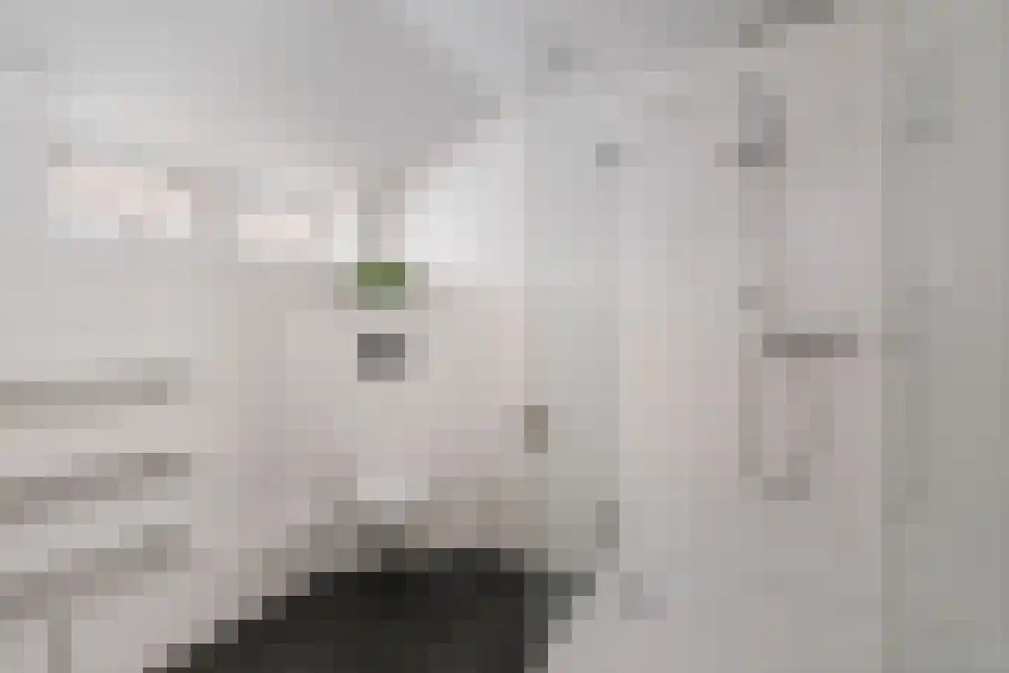 Donizettiplaats 22 Twello thumbnail 32