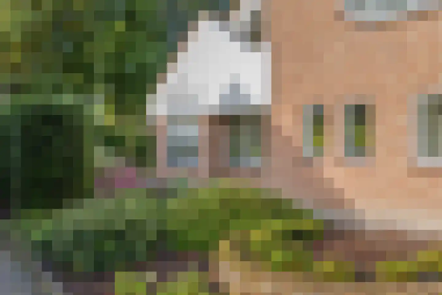 Donizettiplaats 22 Twello thumbnail 35
