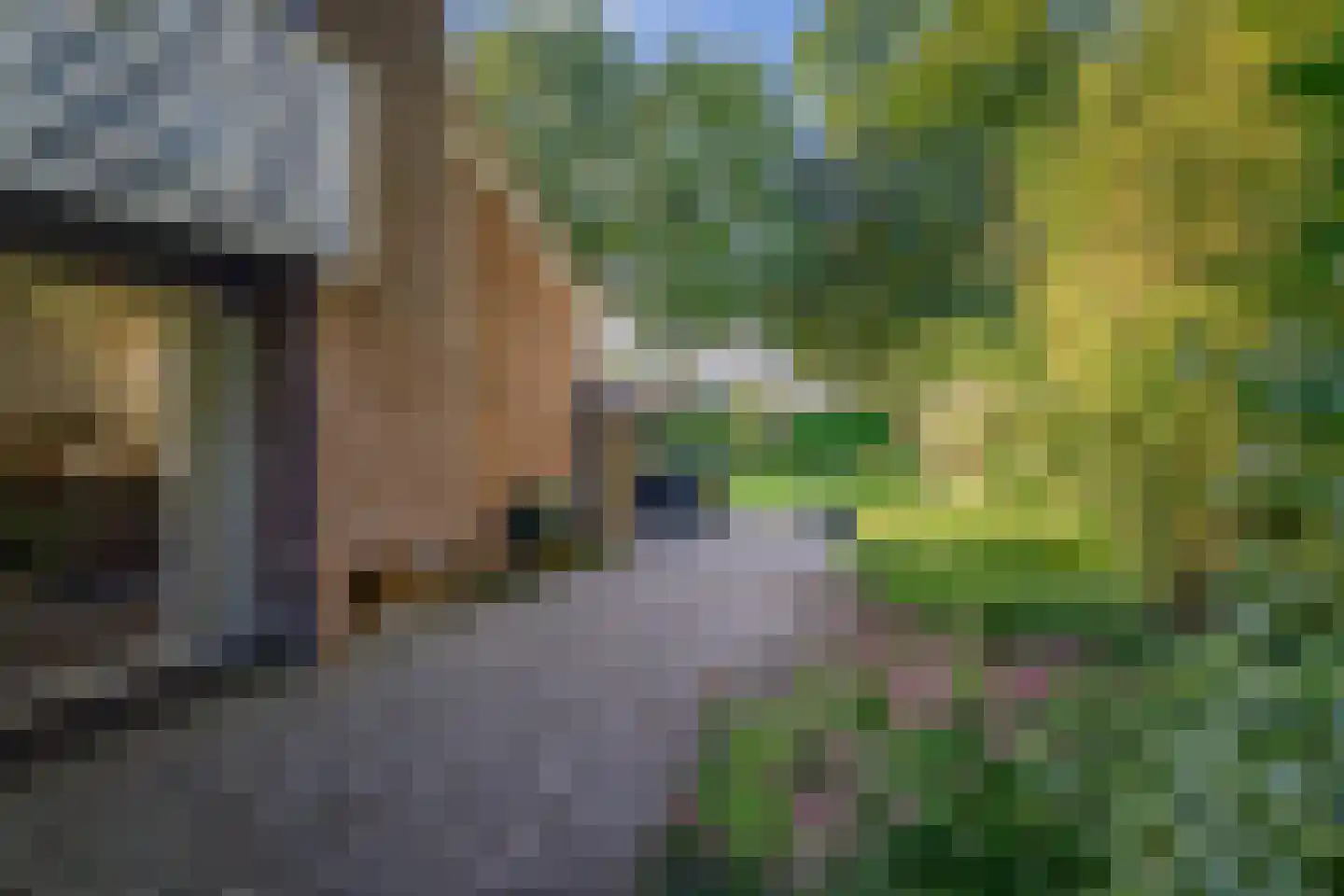 Donizettiplaats 22 Twello thumbnail 36