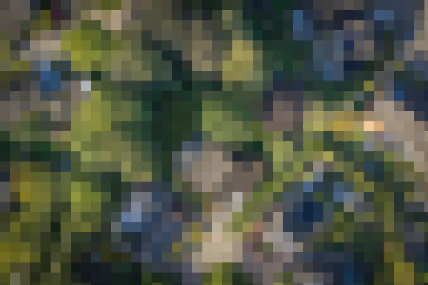 Donizettiplaats 22 Twello thumbnail 43