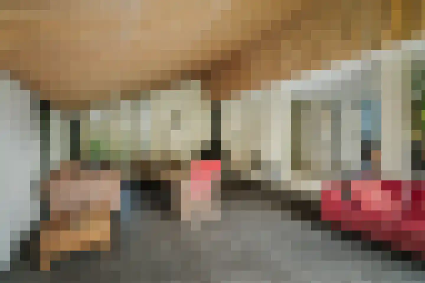Donizettiplaats 34 Twello thumbnail 10