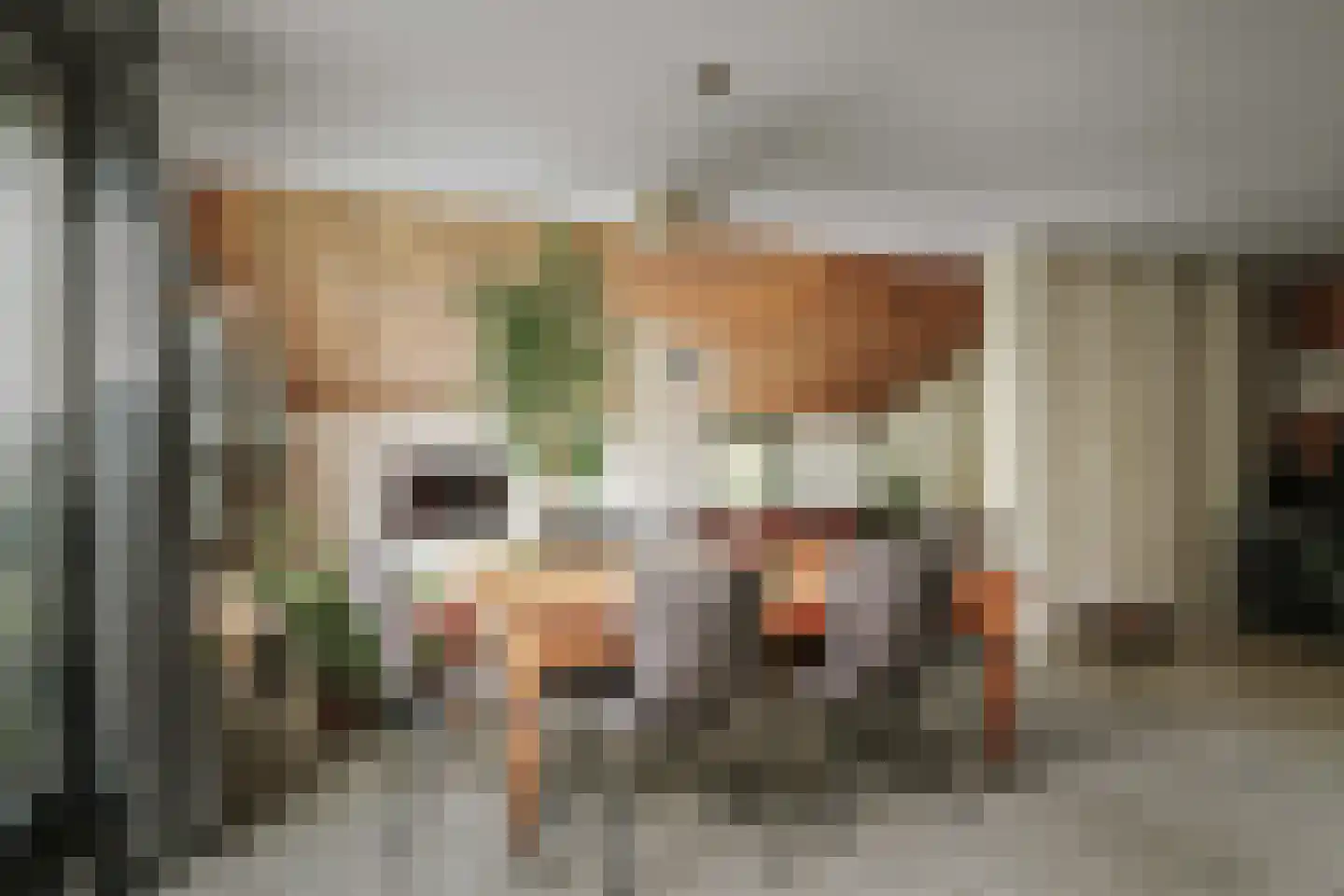 Donizettiplaats 34 Twello thumbnail 12