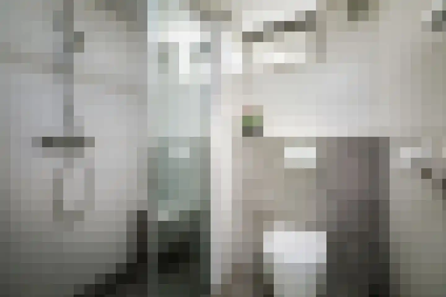 Donizettiplaats 34 Twello thumbnail 16