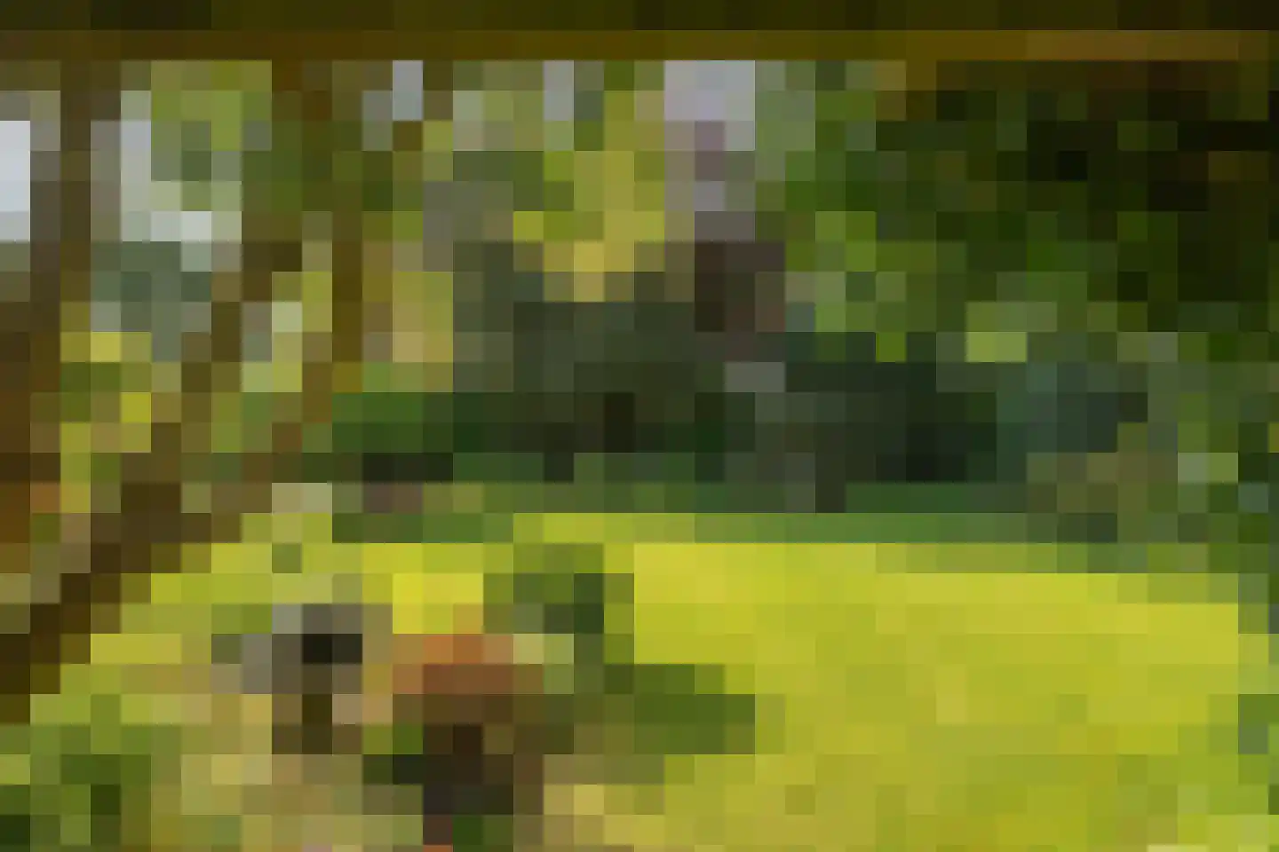 Donizettiplaats 34 Twello thumbnail 25