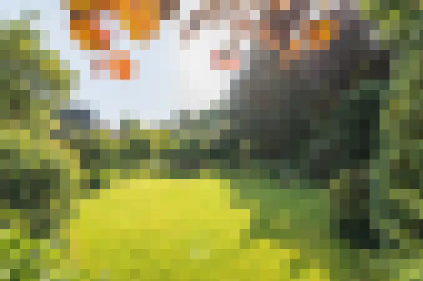 Donizettiplaats 34 Twello thumbnail 27