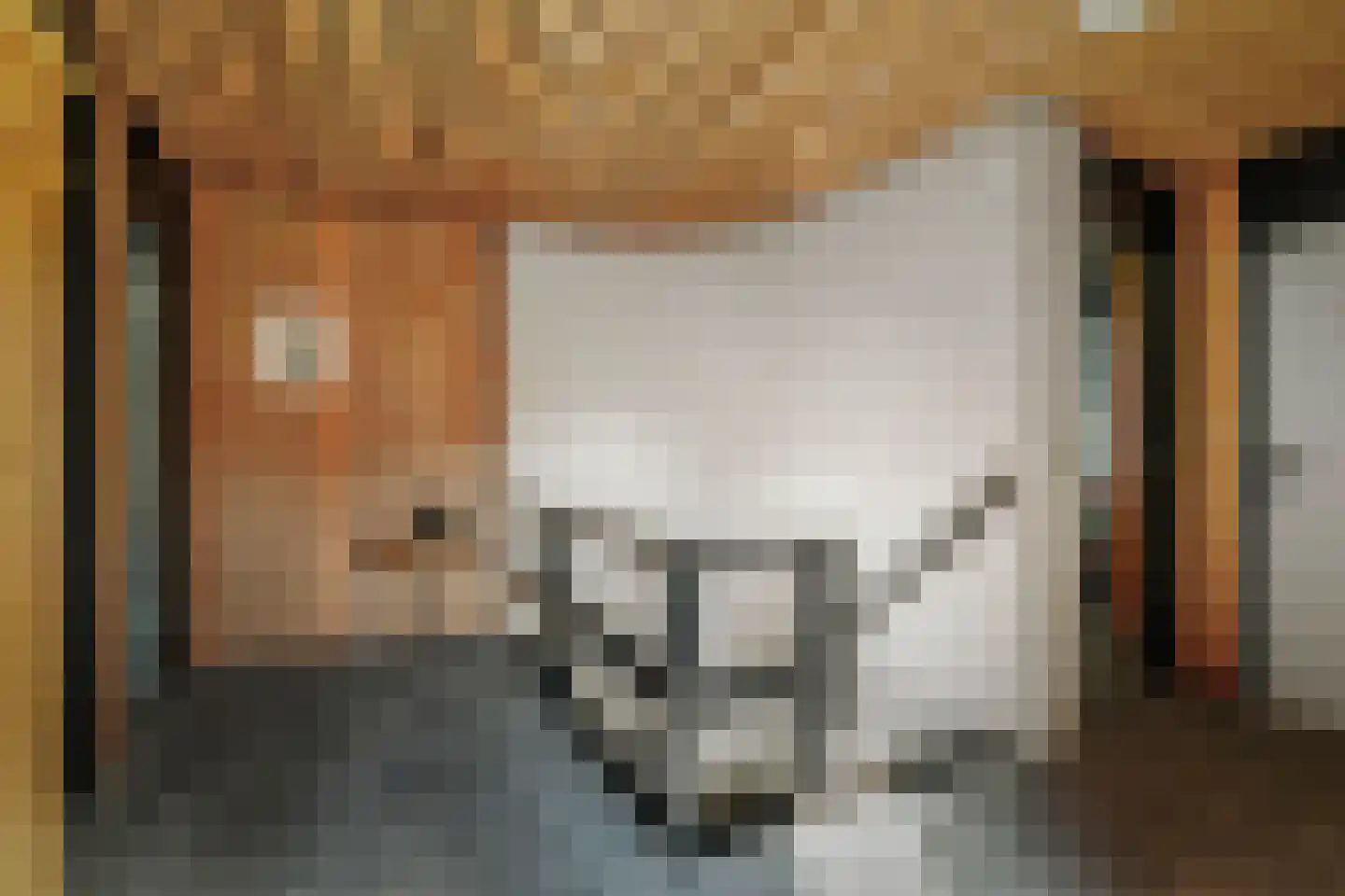 Donizettiplaats 34 Twello thumbnail 30