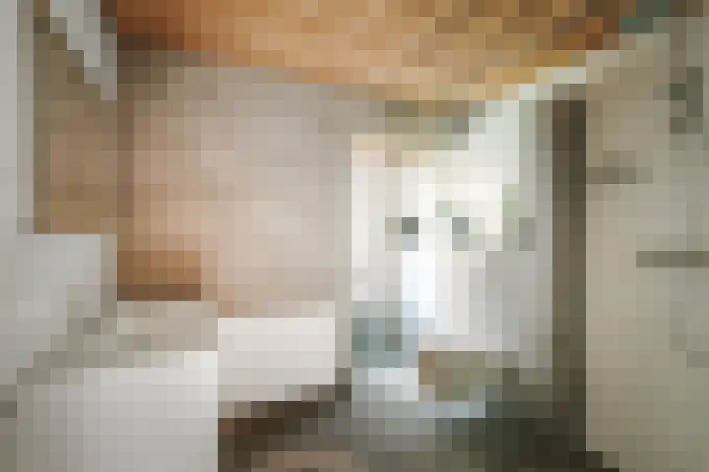 Donizettiplaats 34 Twello thumbnail 35