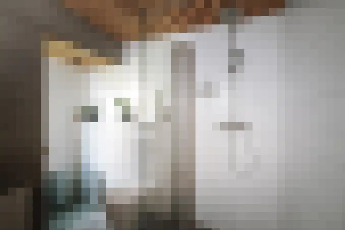 Donizettiplaats 34 Twello thumbnail 36