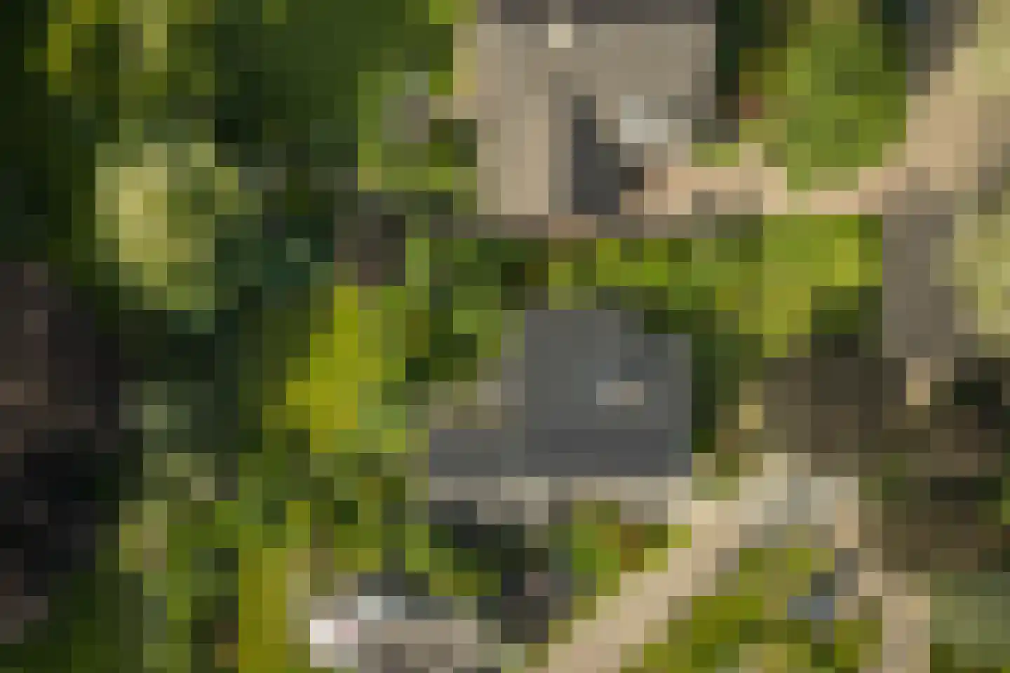 Donizettiplaats 34 Twello thumbnail 40