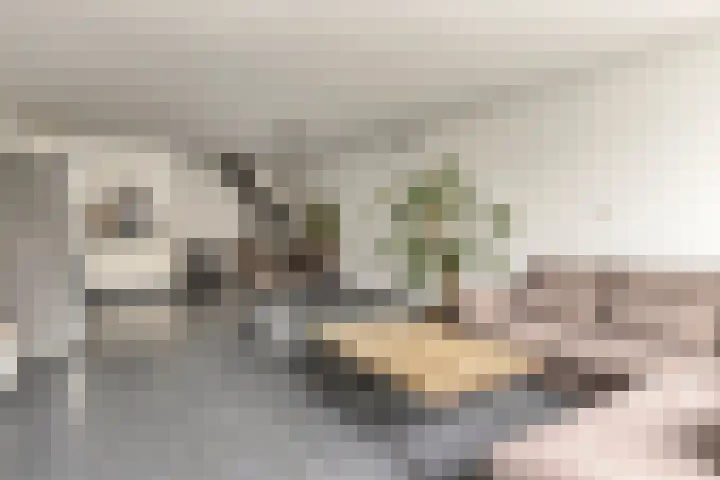 Donizettirode 10 Zoetermeer thumbnail 14