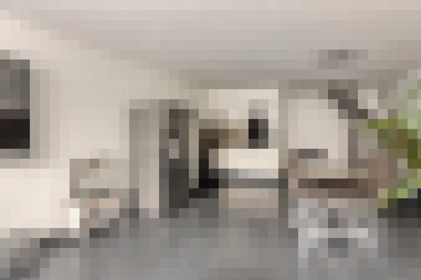 Donizettirode 10 Zoetermeer thumbnail 14