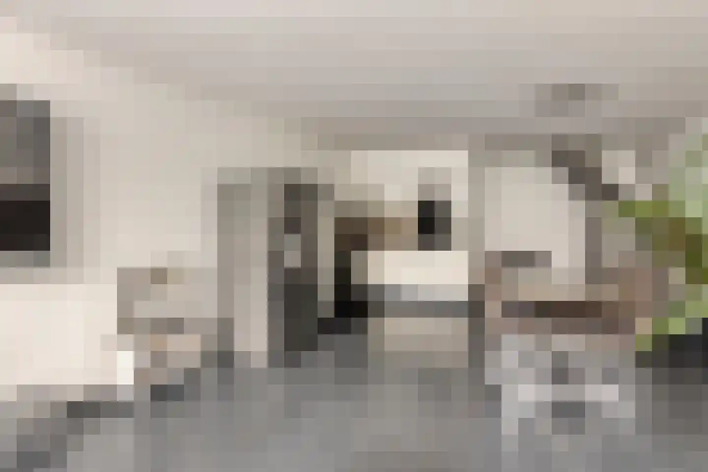 Donizettirode 10 Zoetermeer thumbnail 15