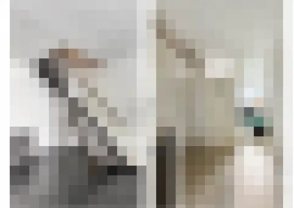Donizettirode 10 Zoetermeer thumbnail 16