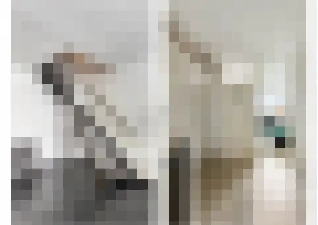 Donizettirode 10 Zoetermeer thumbnail 17