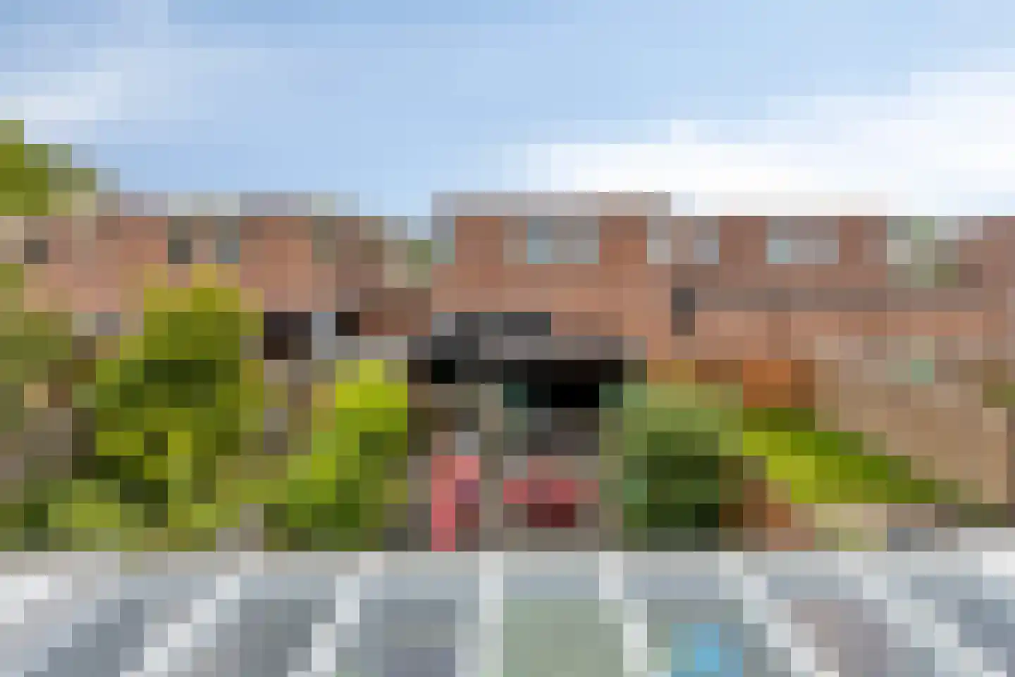 Donizettirode 10 Zoetermeer thumbnail 20