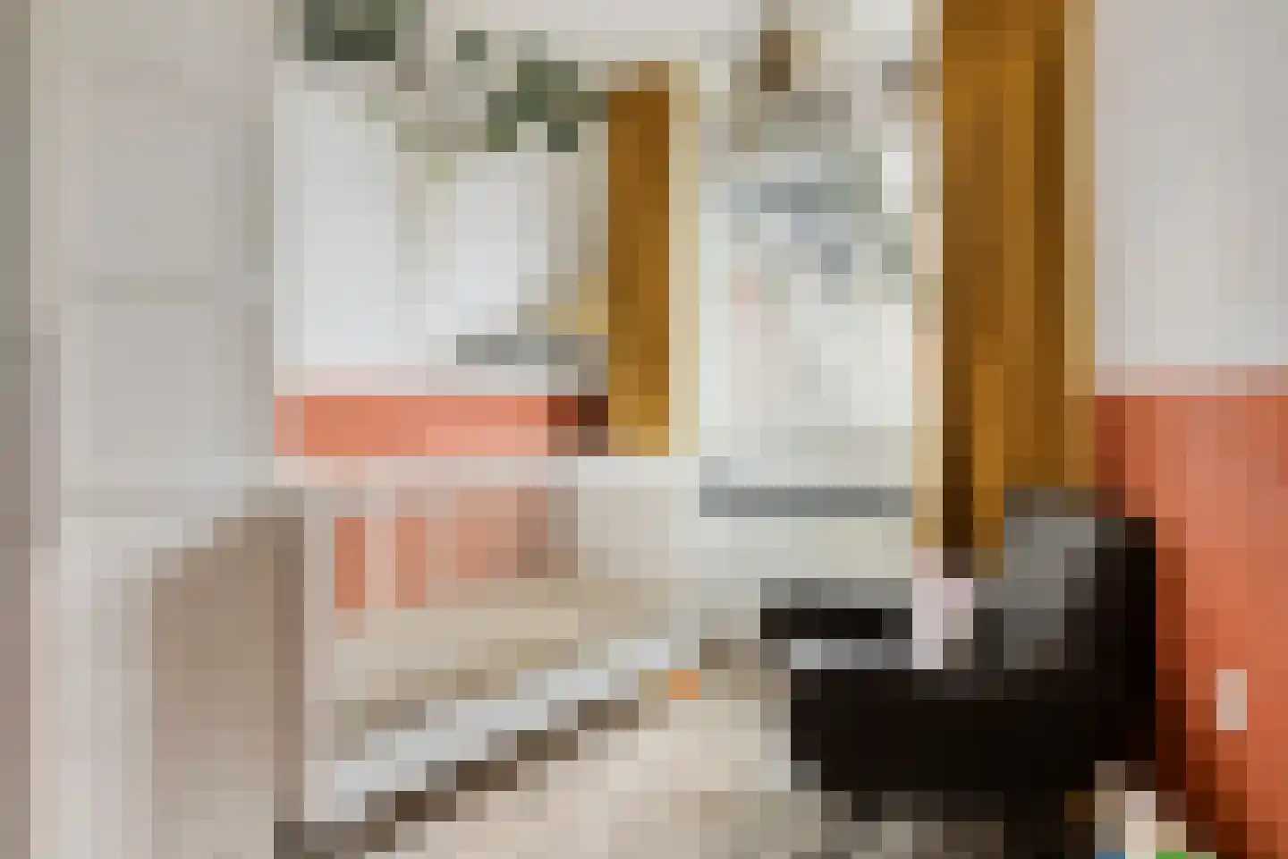 Donizettirode 10 Zoetermeer thumbnail 24