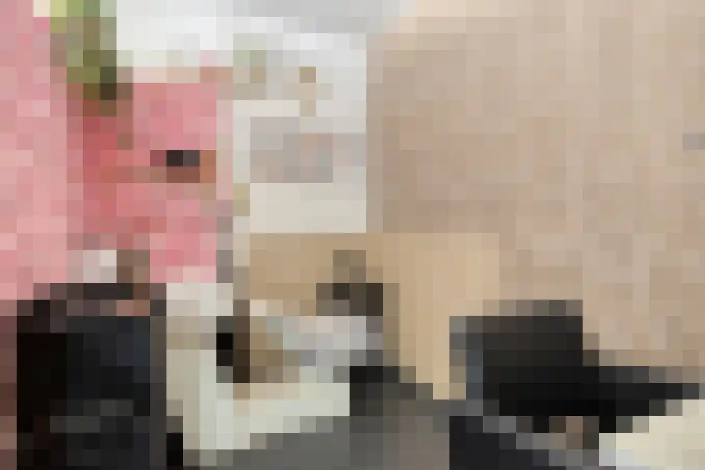 Donizettirode 10 Zoetermeer thumbnail 30