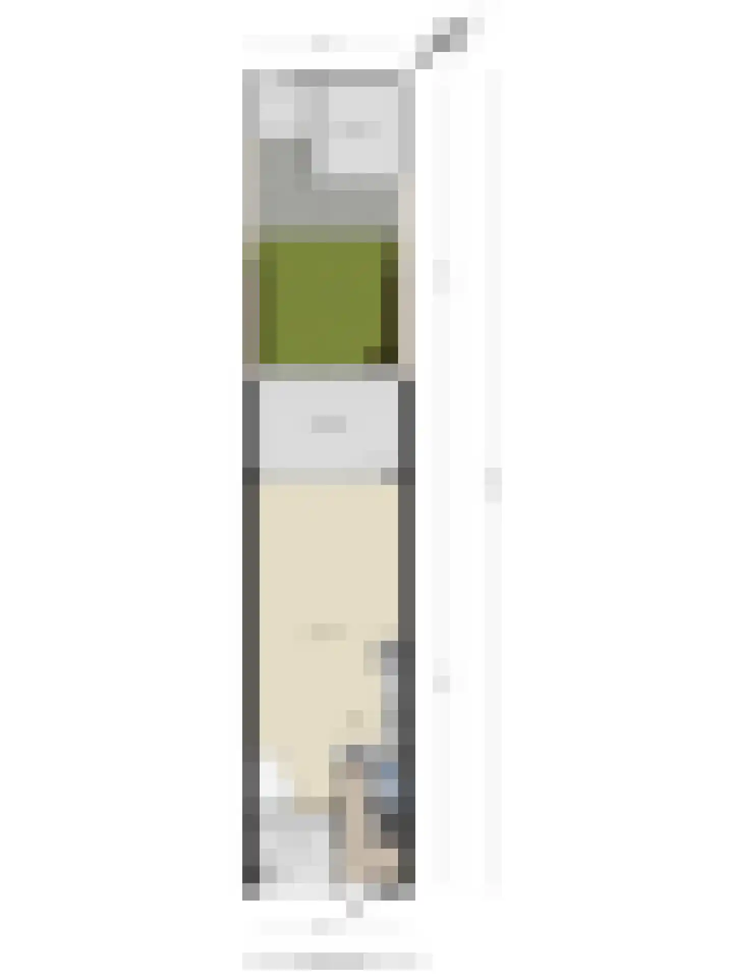 Donizettirode 10 Zoetermeer thumbnail 36