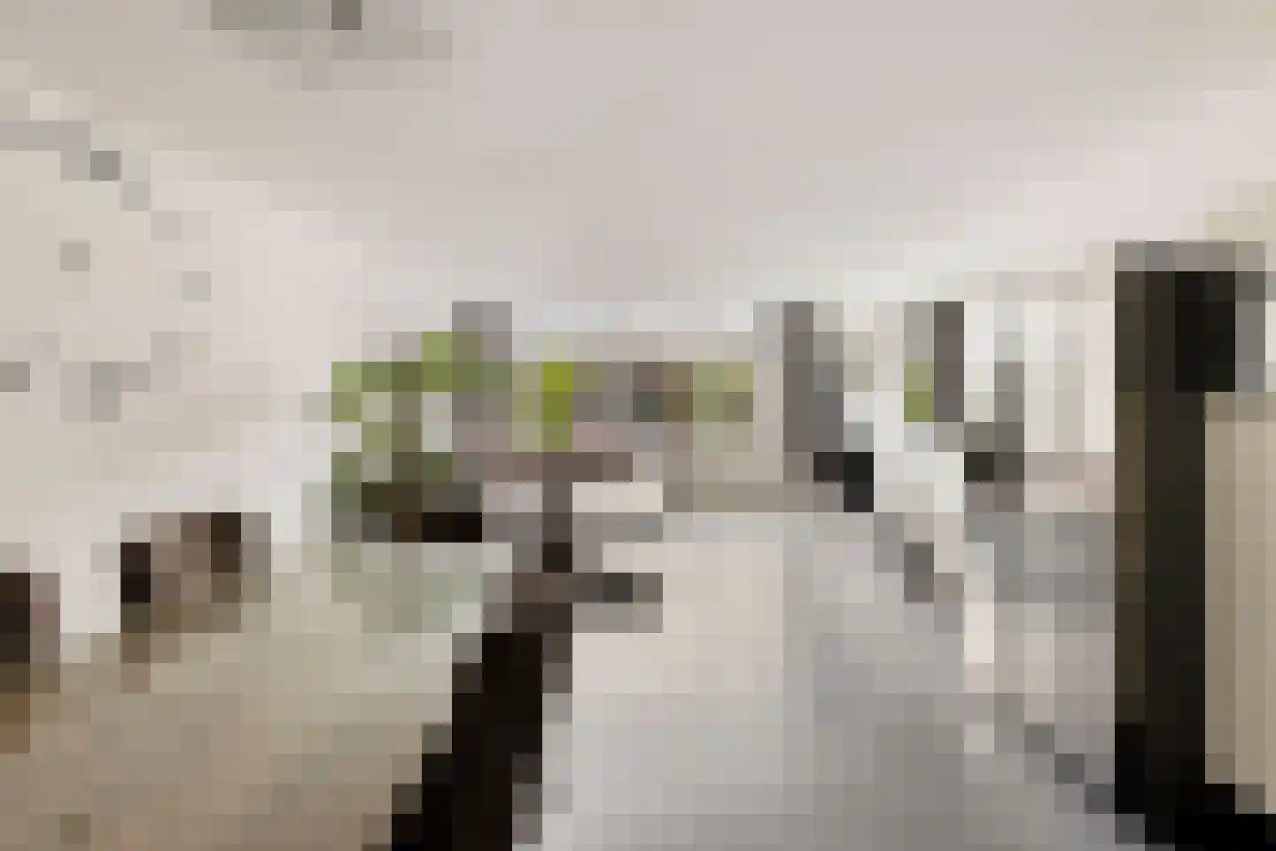 Donizettirode 10 Zoetermeer thumbnail 7