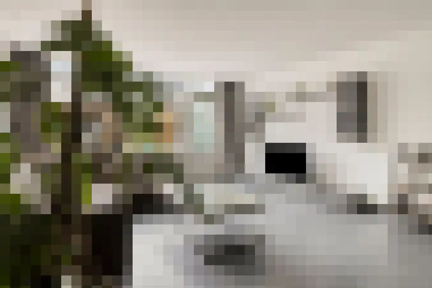 Donizettirode 10 Zoetermeer thumbnail 8