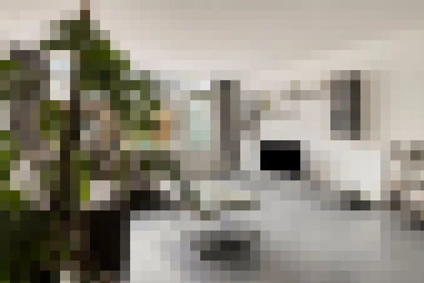 Donizettirode 10 Zoetermeer thumbnail 9