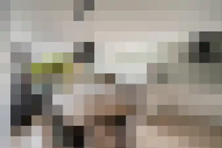 Donizettirode 11 in Zoetermeer