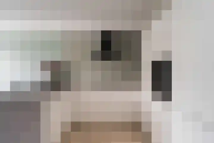 Donizettirode 11 Zoetermeer thumbnail 10