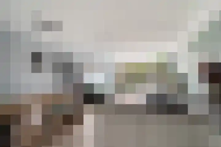 Donizettirode 11 Zoetermeer thumbnail 12