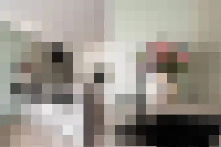 Donizettirode 11 Zoetermeer thumbnail 13