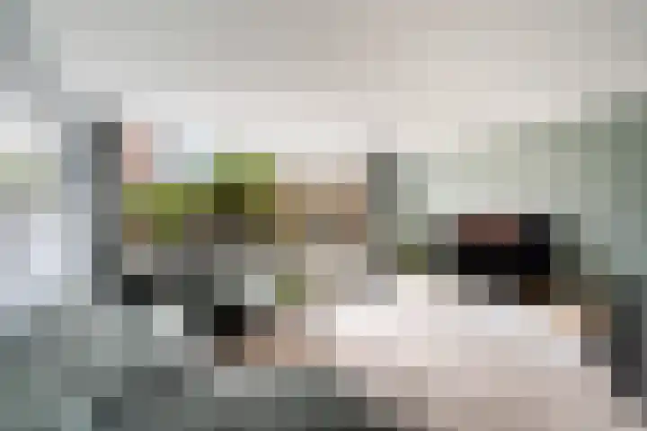 Donizettirode 11 Zoetermeer thumbnail 15
