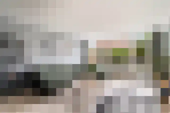 Donizettirode 11 Zoetermeer thumbnail 16